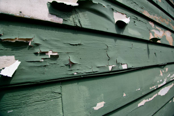 Best Siding Repair  in USA